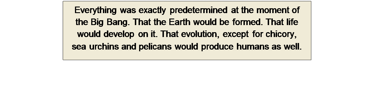 Πλαίσιο κειμένου: Everything was exactly predetermined at the moment of 
the Big Bang. That the Earth would be formed. That life would develop on it. That evolution, except for chicory, 
sea urchins and pelicans would produce humans as well.
